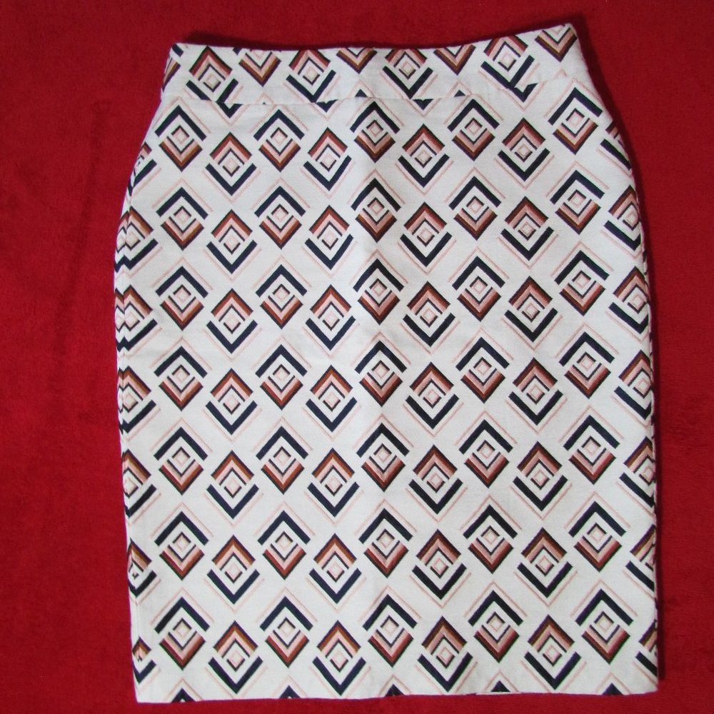 Ann Taylor Embroidered Pencil Skirt Geometric Lined